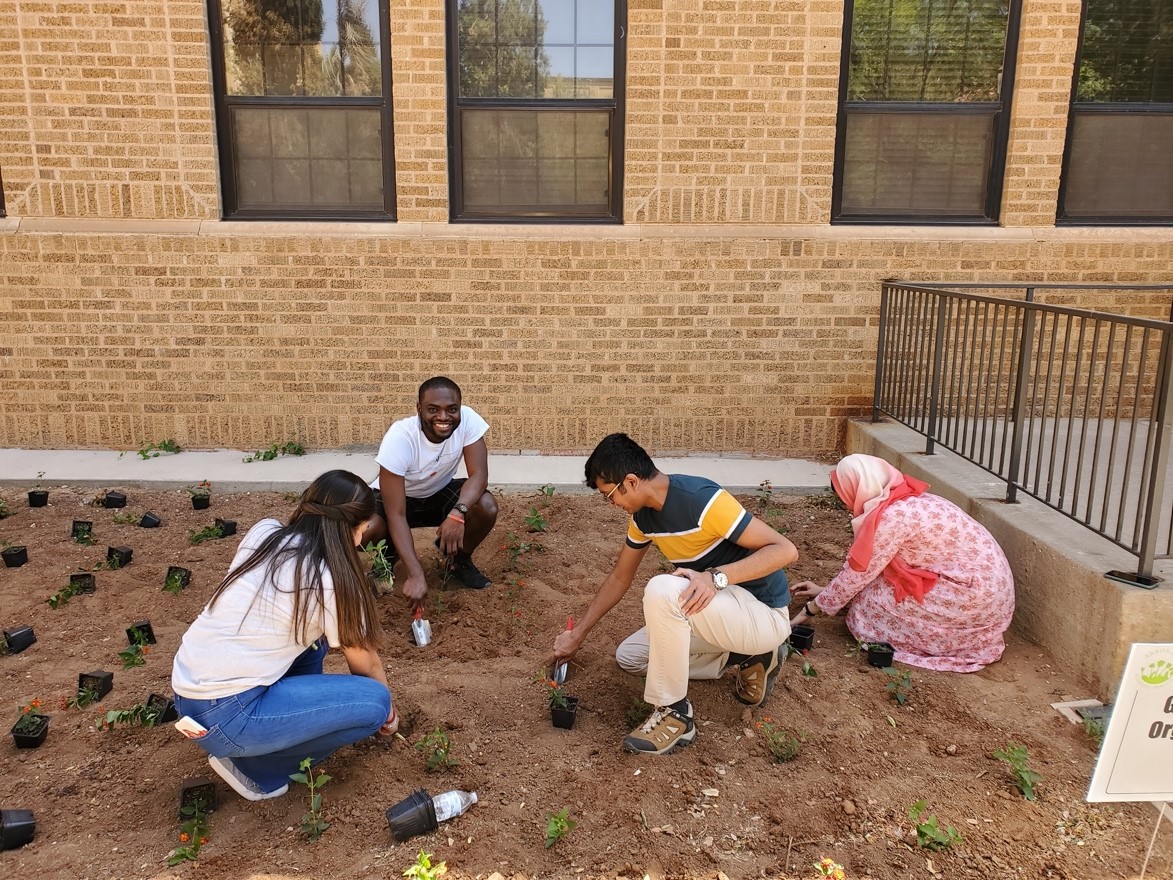 Arbor Day, April 29, 2022 