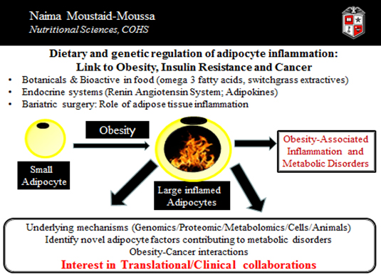 Dietary and Genetic Regulation