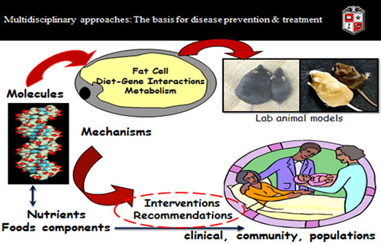 Multidisciplinary approach