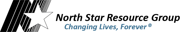 North Star Logo