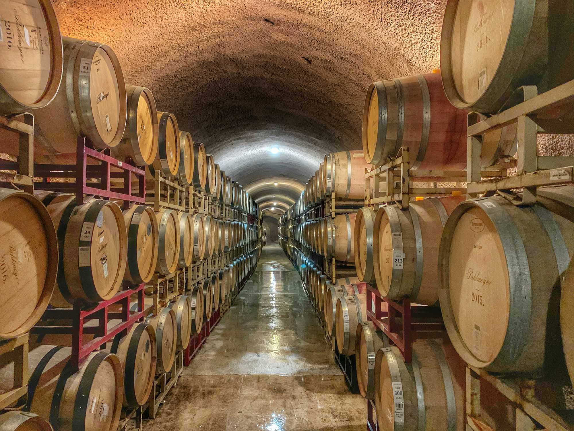 Wine barrels in cellar
