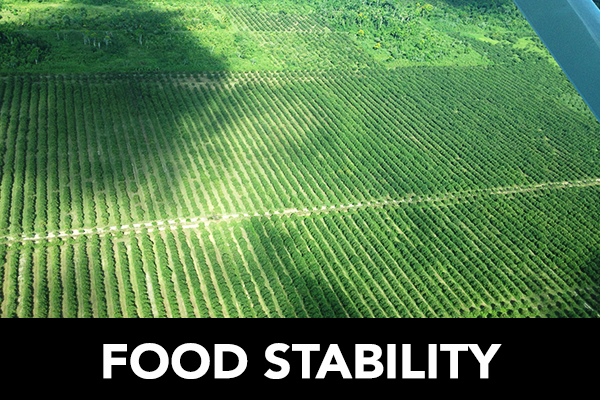 Food Stability