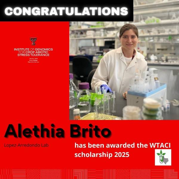 WTACI scholarship