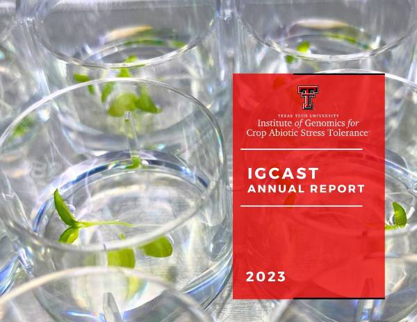 igcast Annual report, which includes information about their projects, achievements, and work teams
