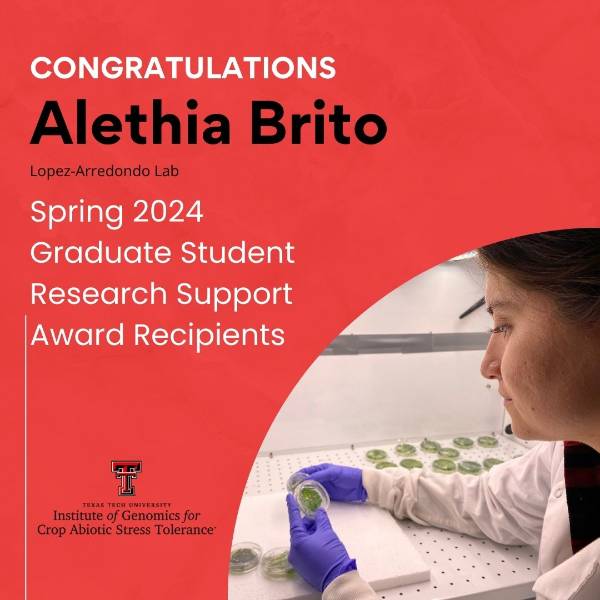 Graduate Student Research Support Award TTU