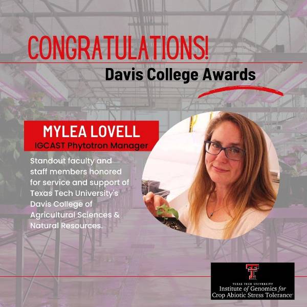 Davis College Awards