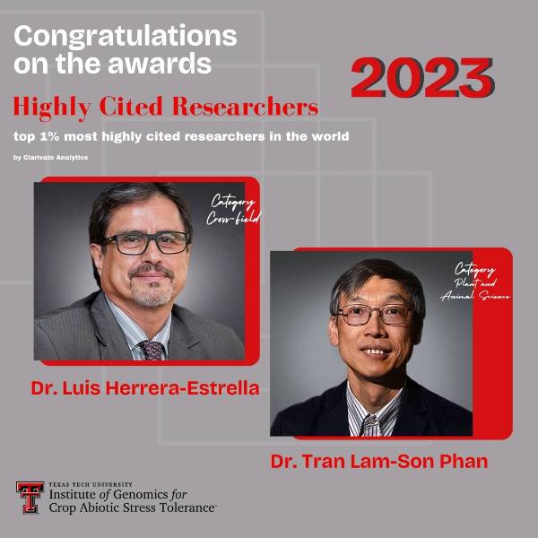 Highly cited 2023