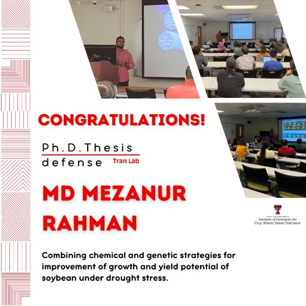 Md. Mezanur Rahman Desertation