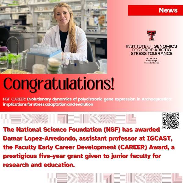 NSF Awarded 
