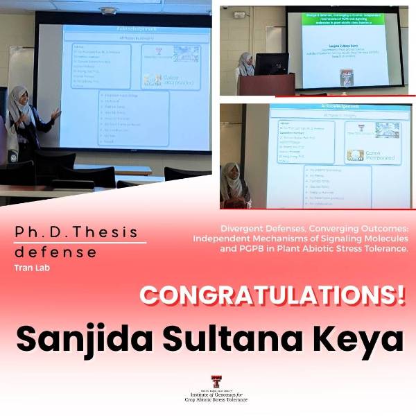 Sanjida Sultana Keya Exam