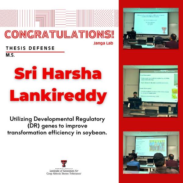 Sri Harsha MS Thesis