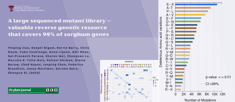 A large sequenced mutant library