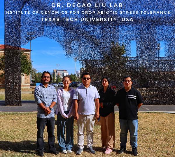 Liu Lab Liu Lab