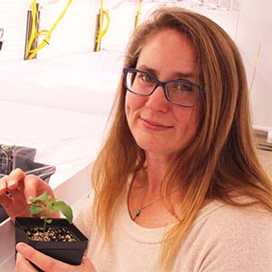 Mylea Lovell Institute of Genomics for Crop Abiotic Stress Tolerance Phytotron Greenhouse Manager Mylea Lovell Institute of Genomics for Crop Abiotic Stress Tolerance Phytotron Greenhouse Manager