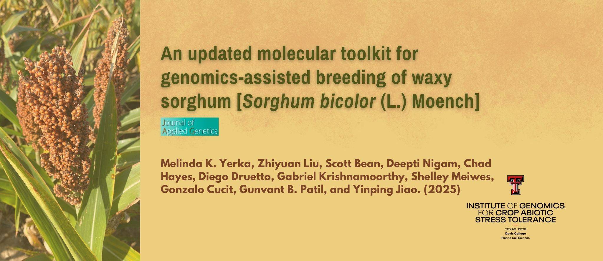 An updated molecular toolkit