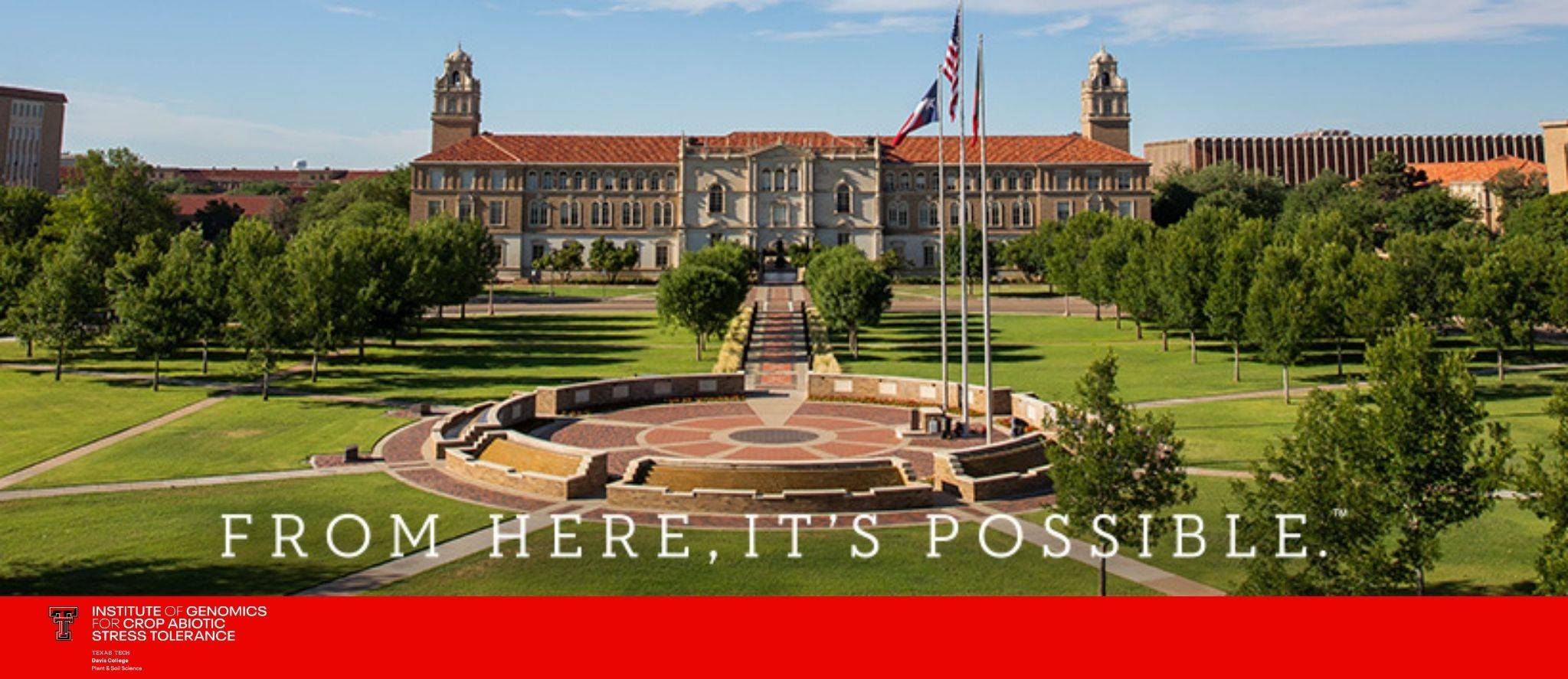 TTU