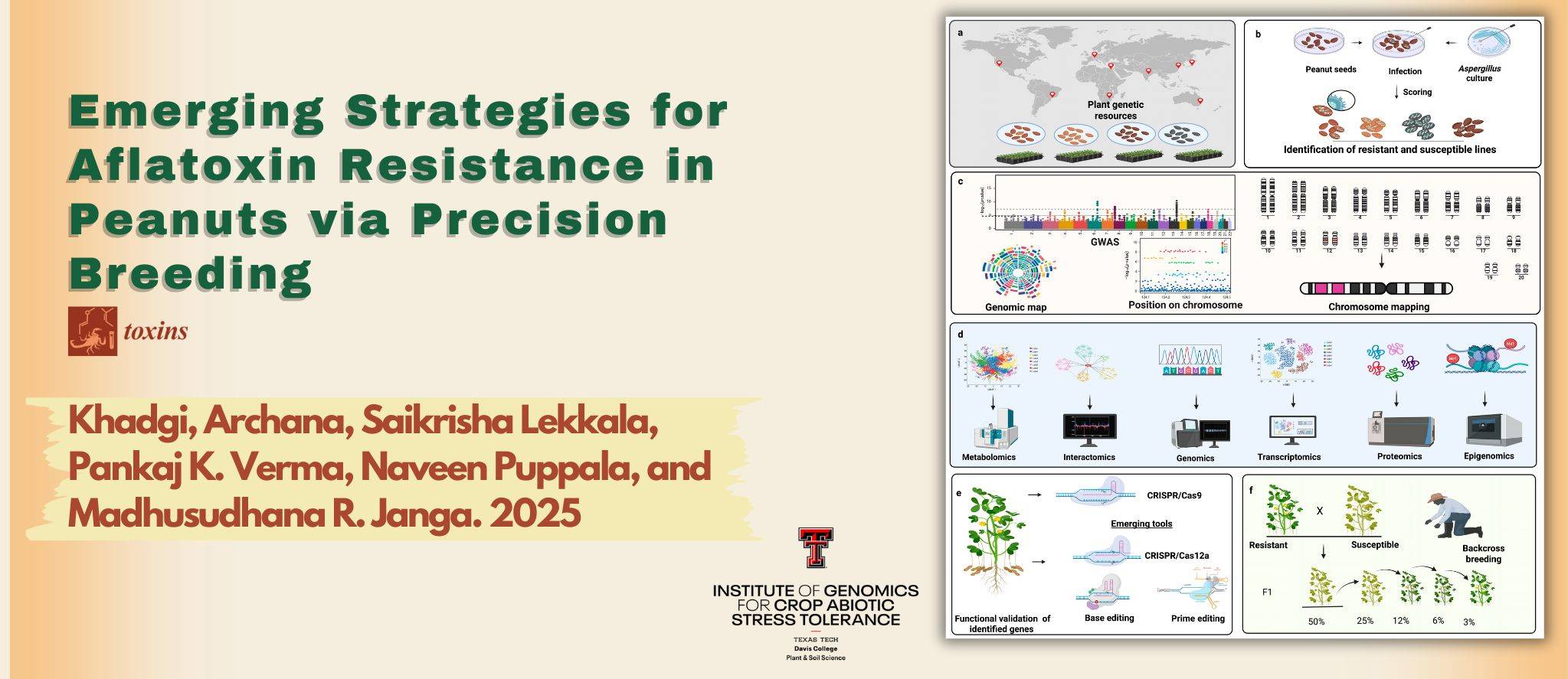Emerging Strategies