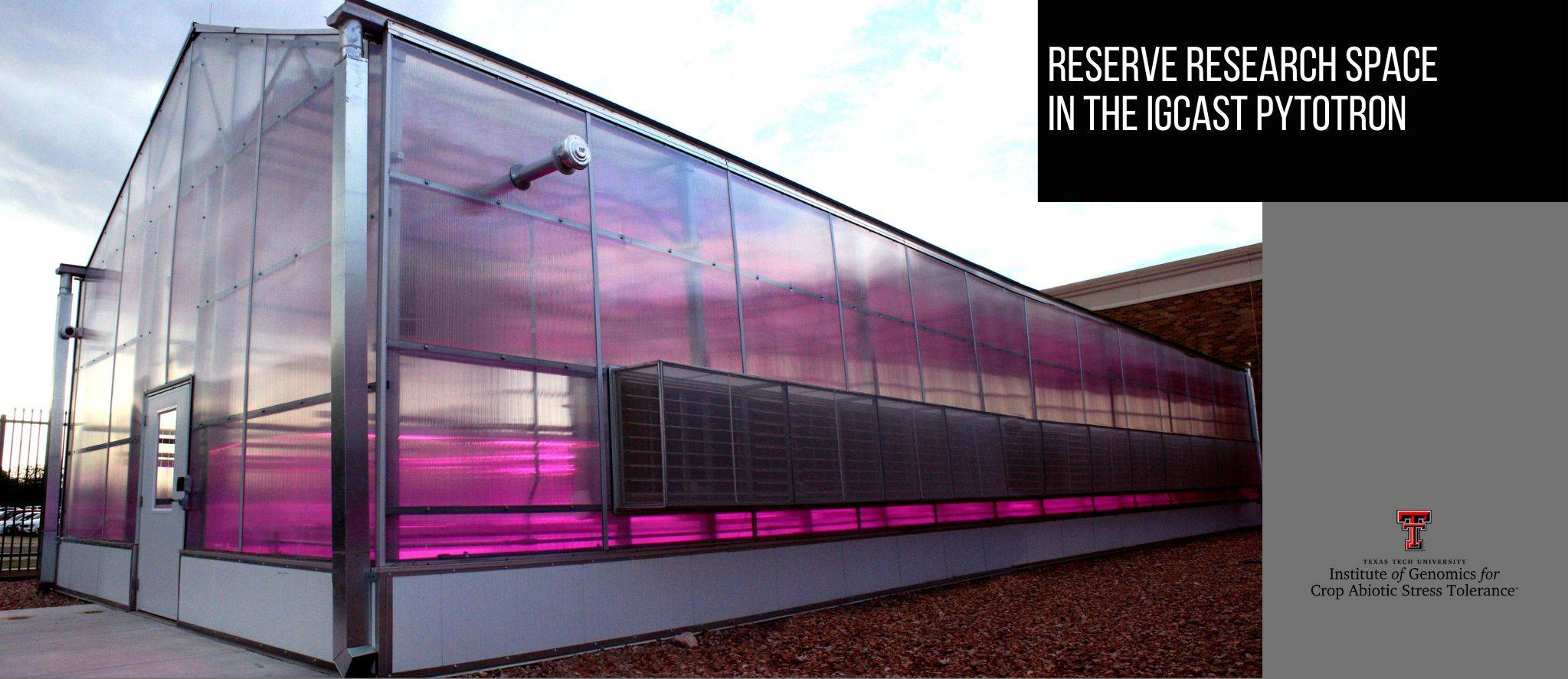 Reserve research space in the IGCAST Phytotron (greenhouse/growth chambers)