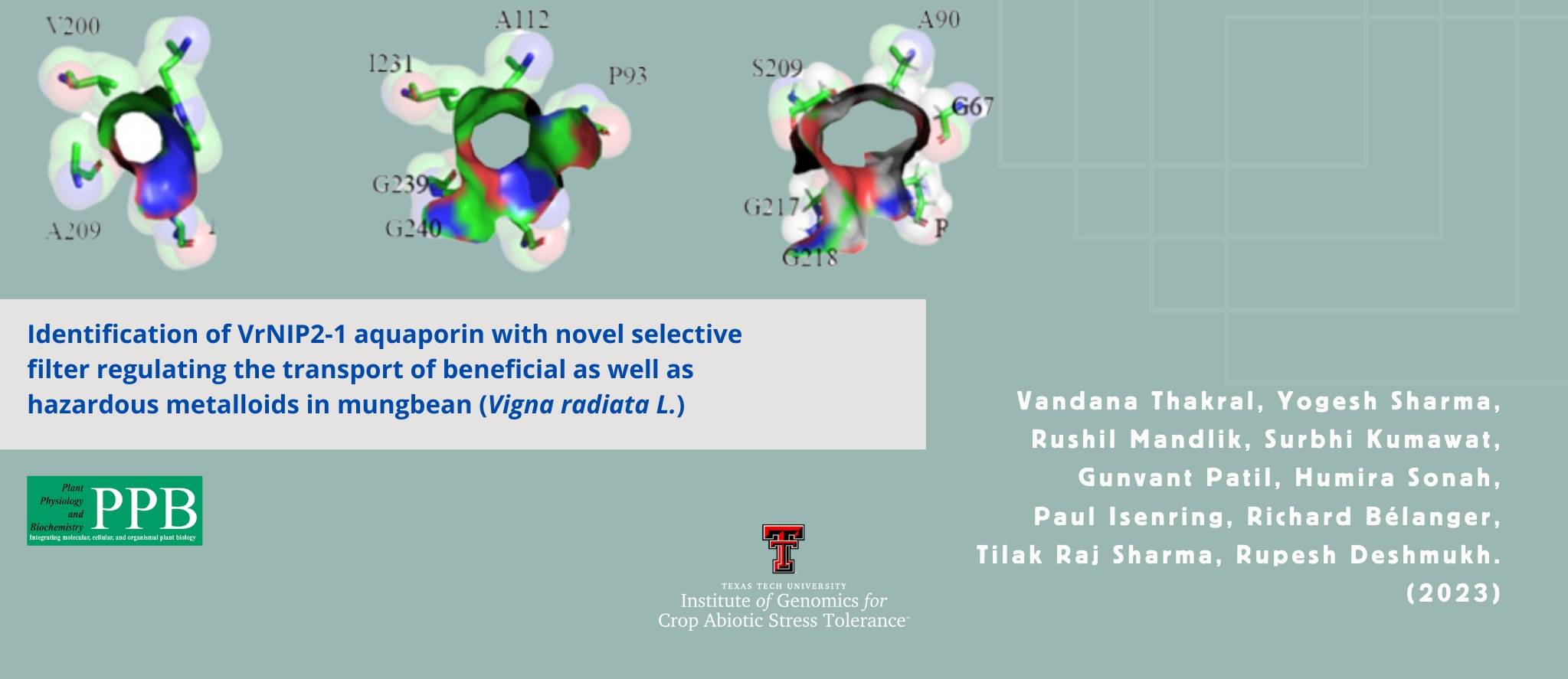 Identification of VrNIP2-1