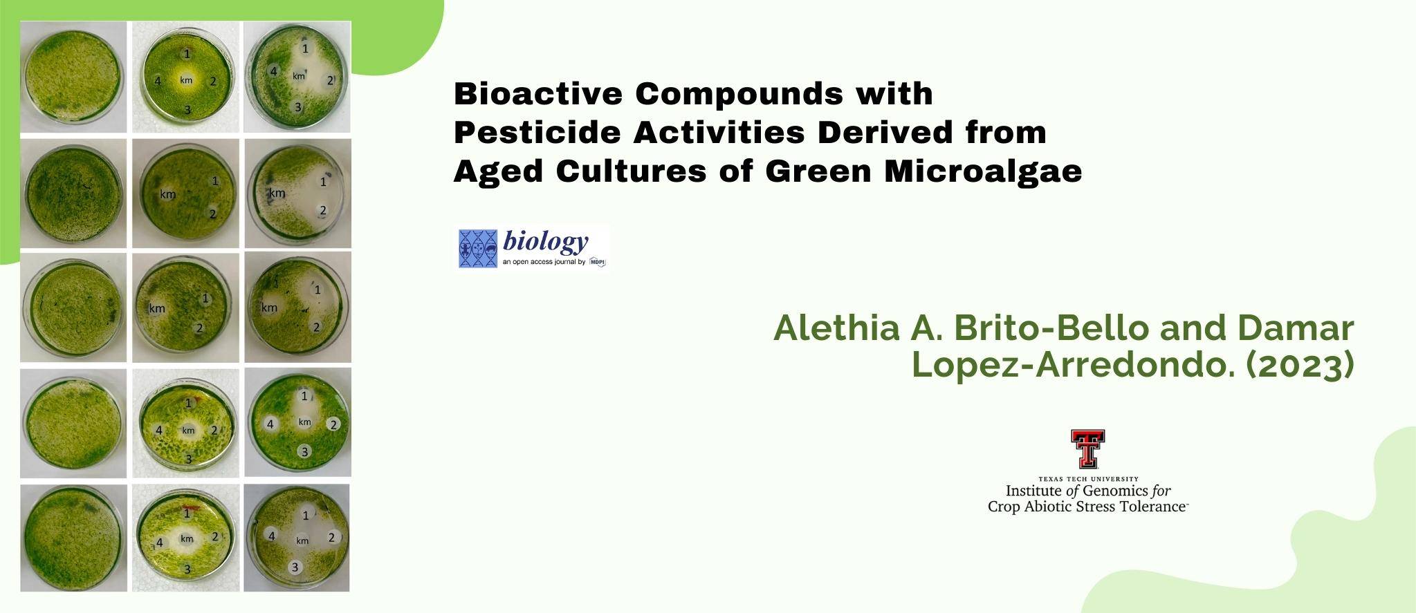 New IGCAST publication