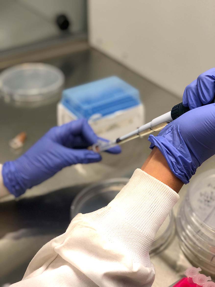 Learn more about Our Research