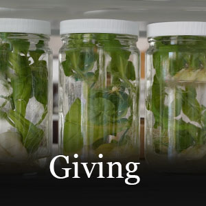 Donate to IGCAST Research