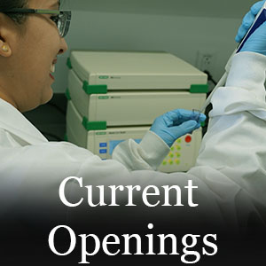 IGCAST Job Openings