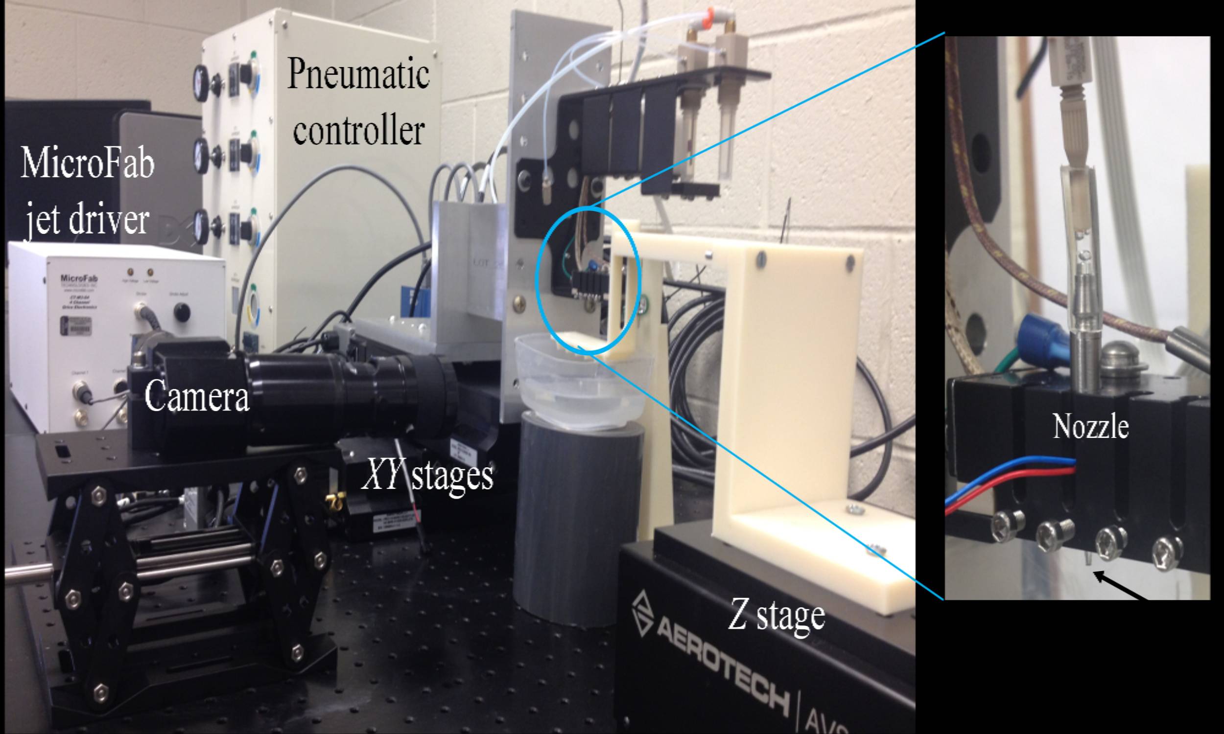 biolab2