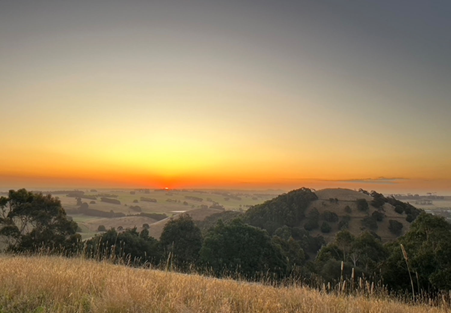 Sunset at Camperdown