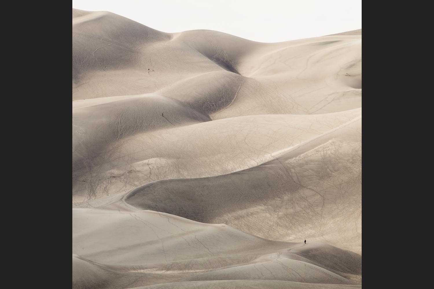 Dan English: Three Dune Hikers and a Dog - Great Sand Dunes National Park, Colorado