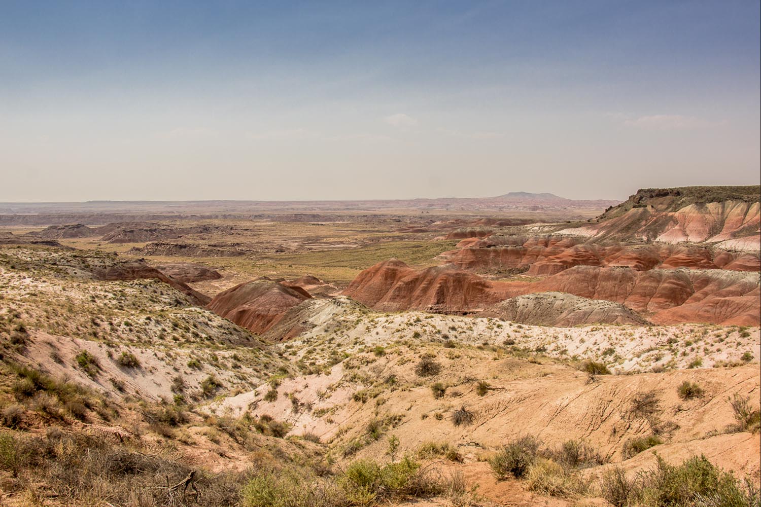 Pody Connally: Painted Desert - Arizona