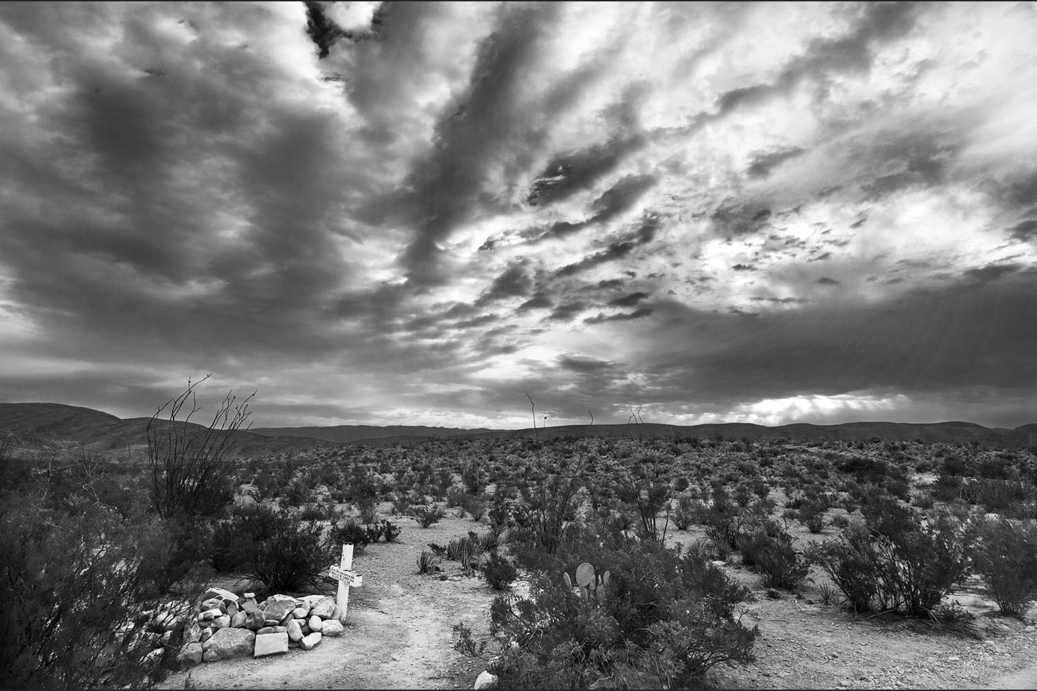 Kenneth Spencer: Morning in the Desert - Big Bend National Park
