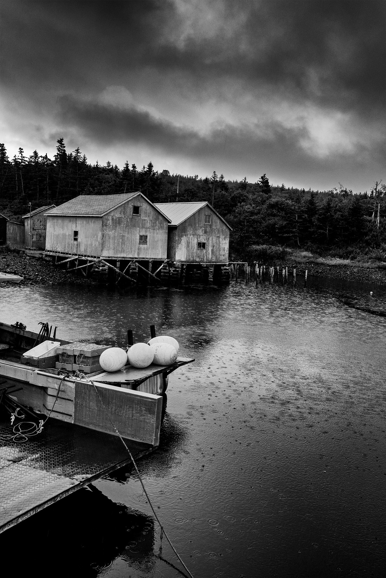 Melinda Green Harvey: Buoyed - Whale Cove, Nova Scotia 