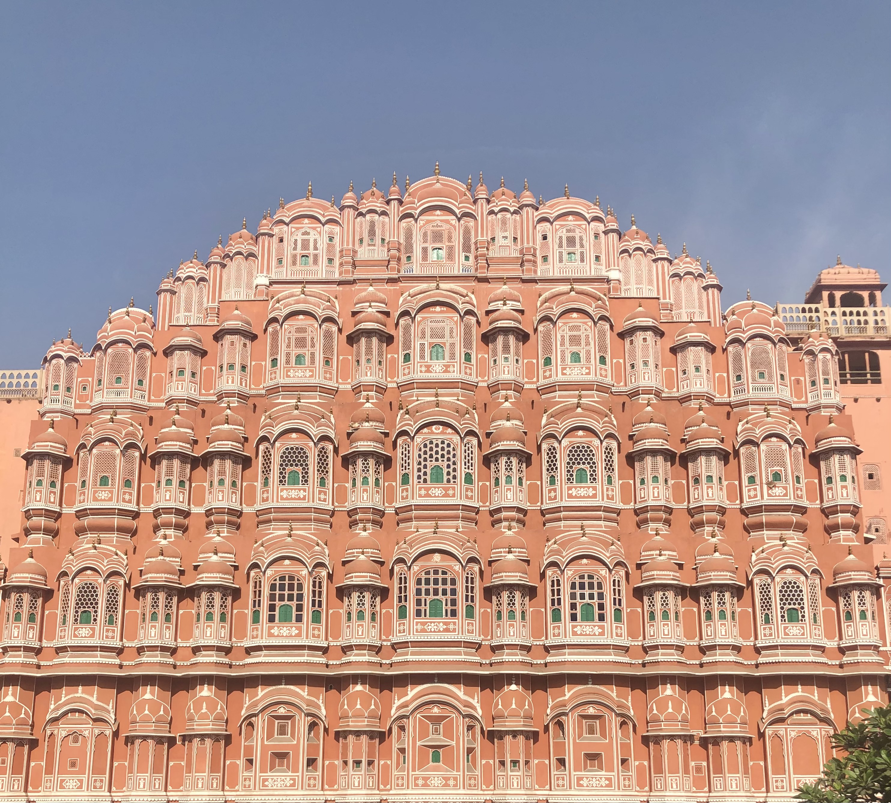 Alison Hawley: Hawa Mahal - Jaipur, India 