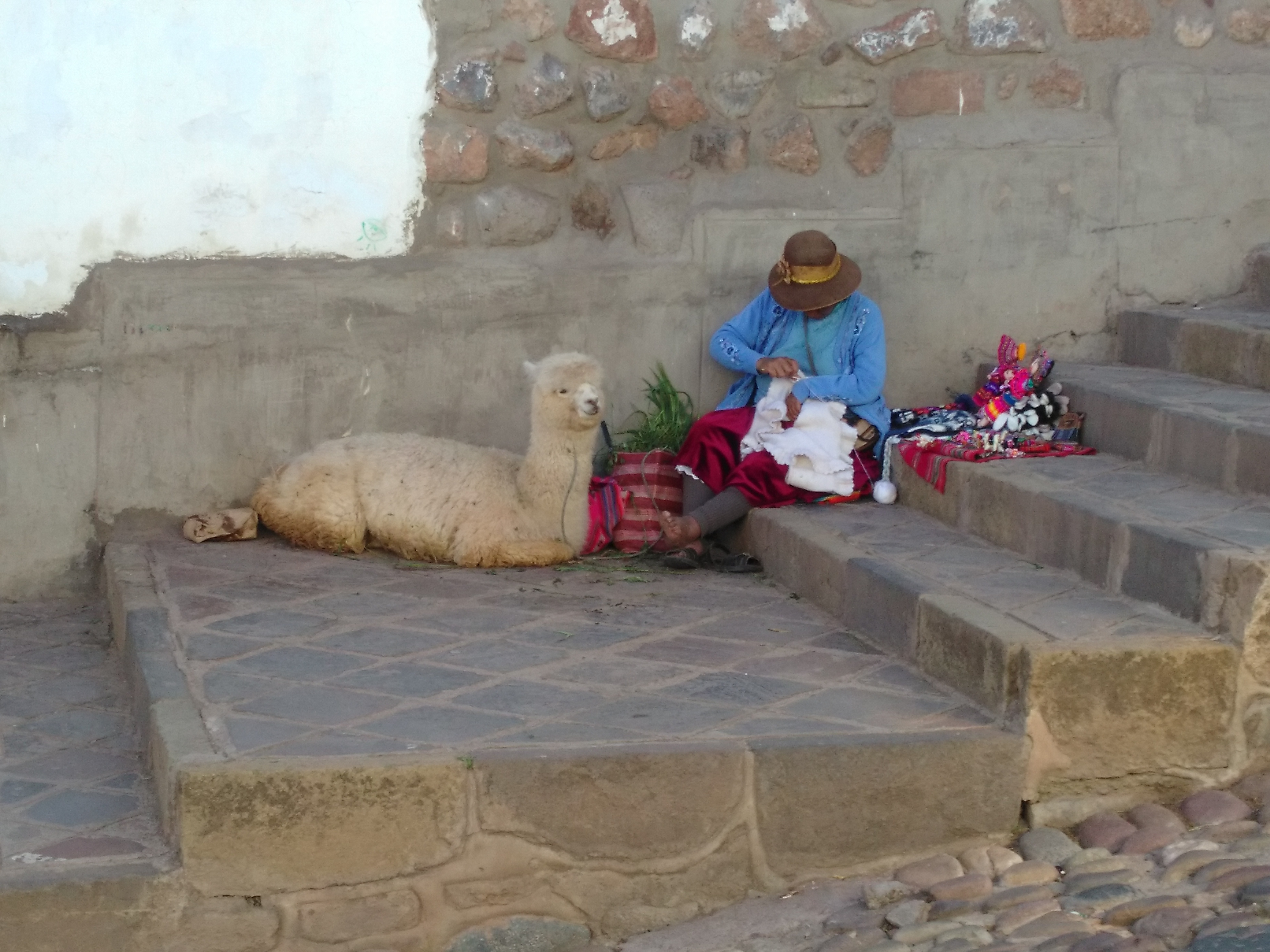 Julie Grandjean: Knitting with Pet Alpaca - Cusco, Peru
