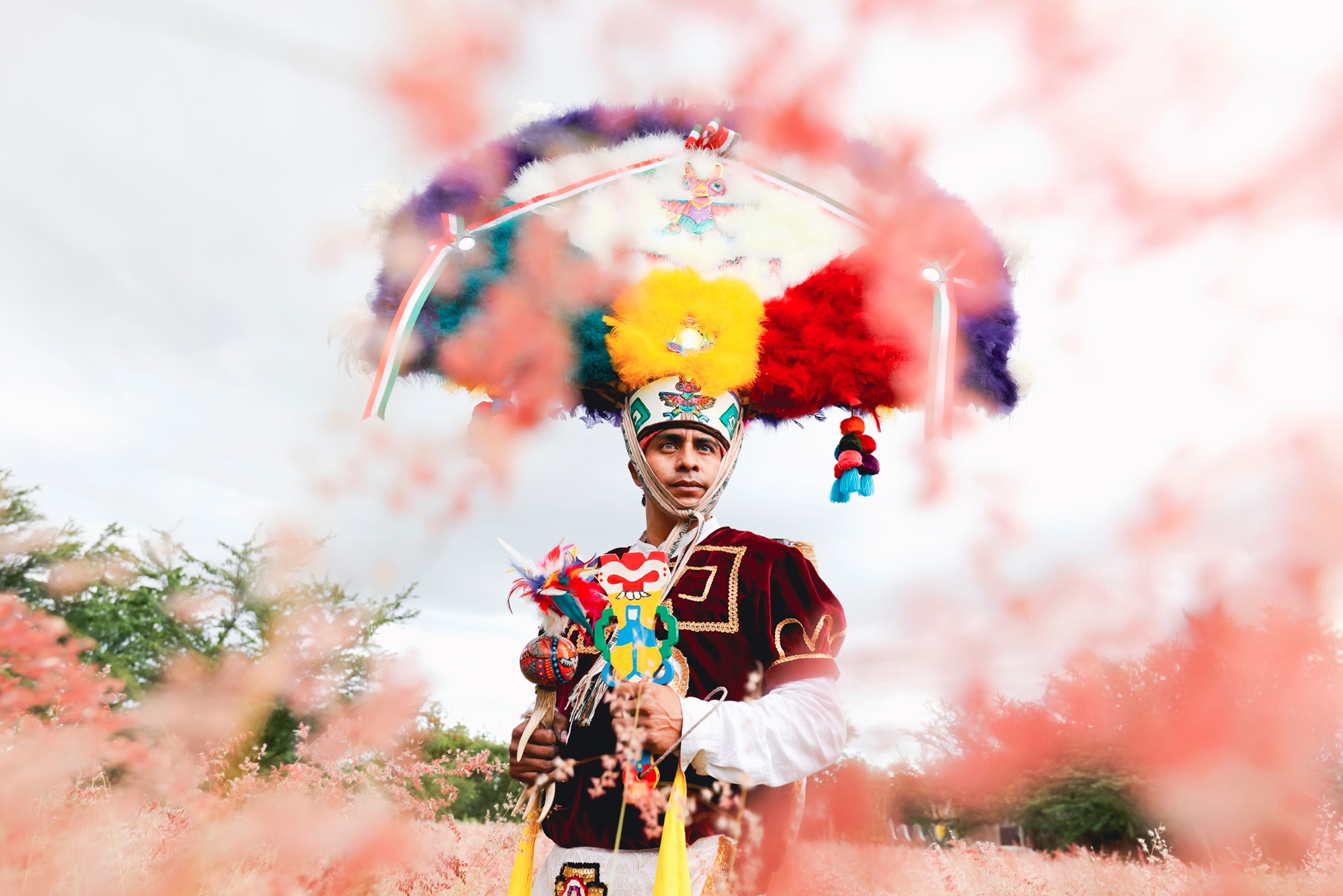 Greg Davis: Danza de Pluma - Oaxaca, Mexico