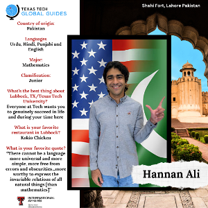 Hannan Ali