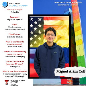 Miguel Ariza Coll