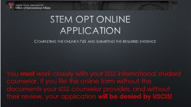 STEM OPT Online Instructions