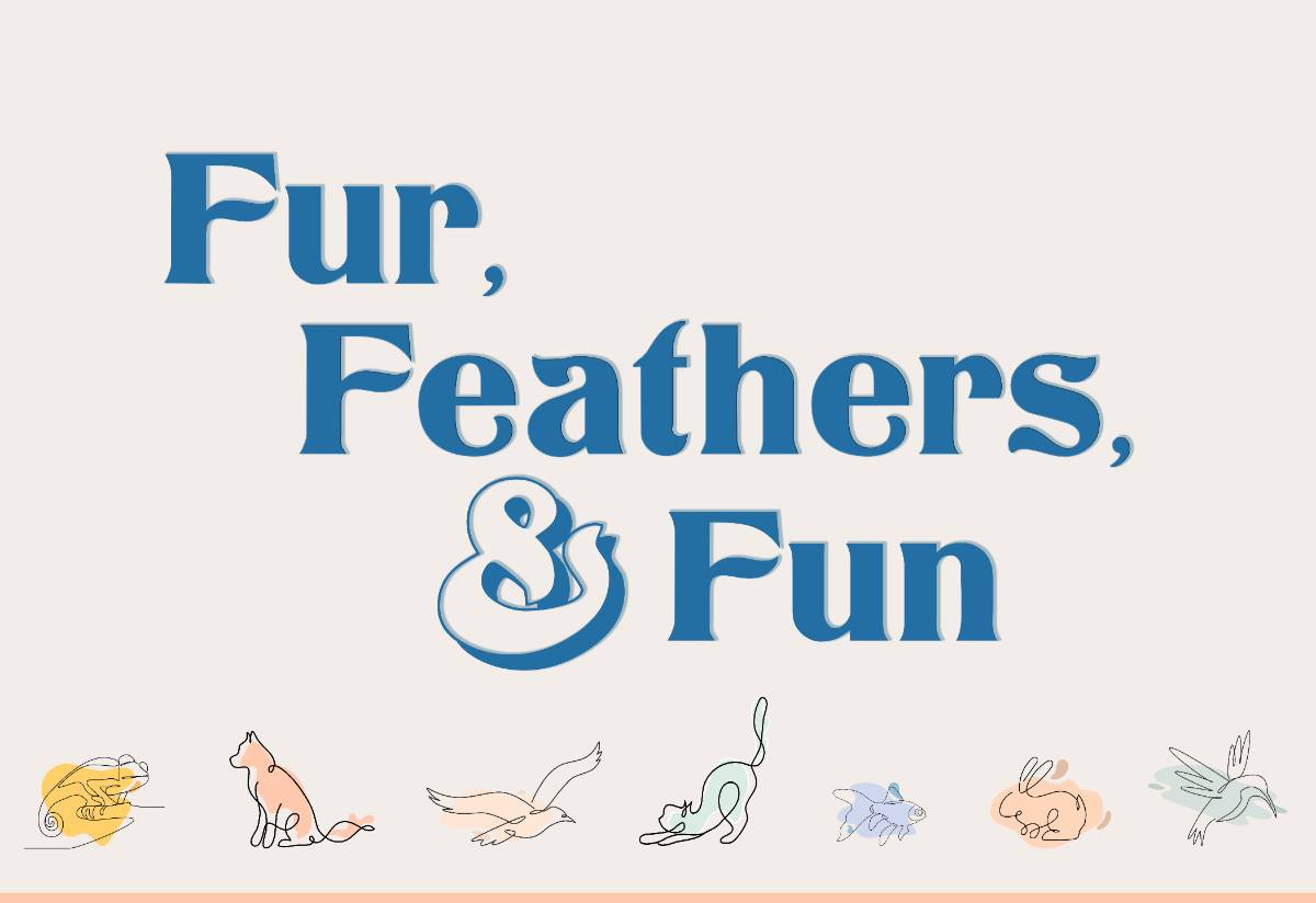 Fur, Feathers and Fun