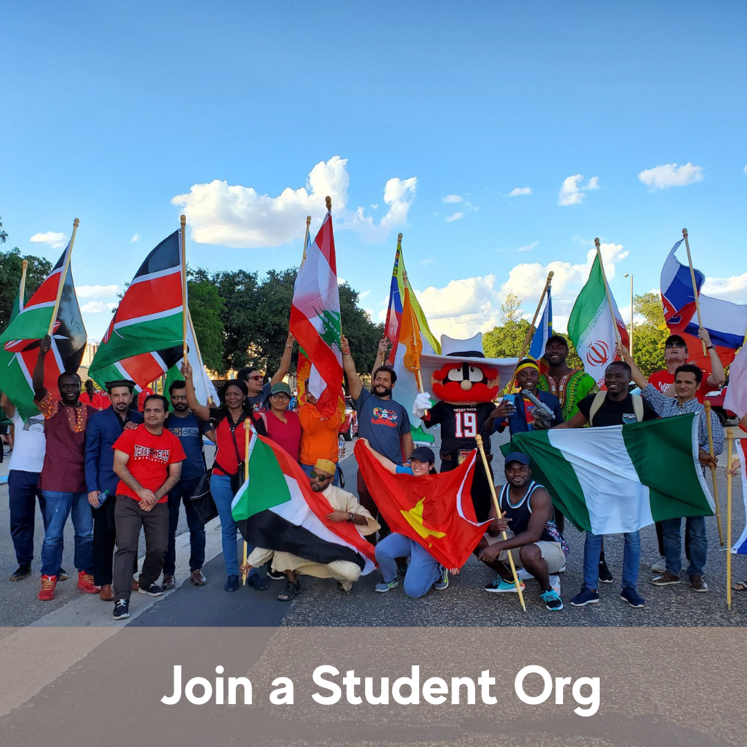 students with flags