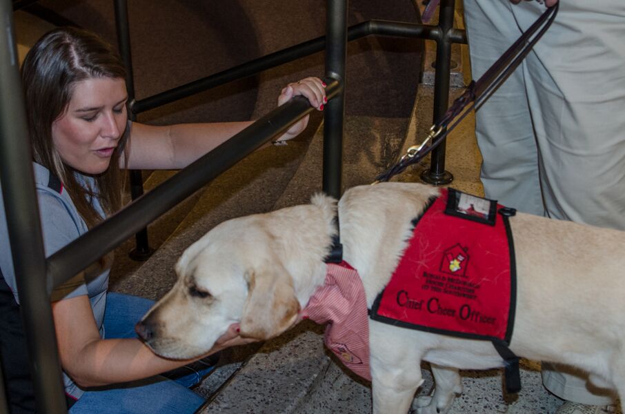 Bethany Kuwitzsky pets Jax, the service dog from Ronald McDonald House, during reception
