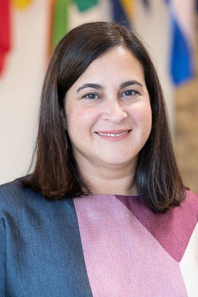Sara Pink, PhD. Sara Pink, PhD.