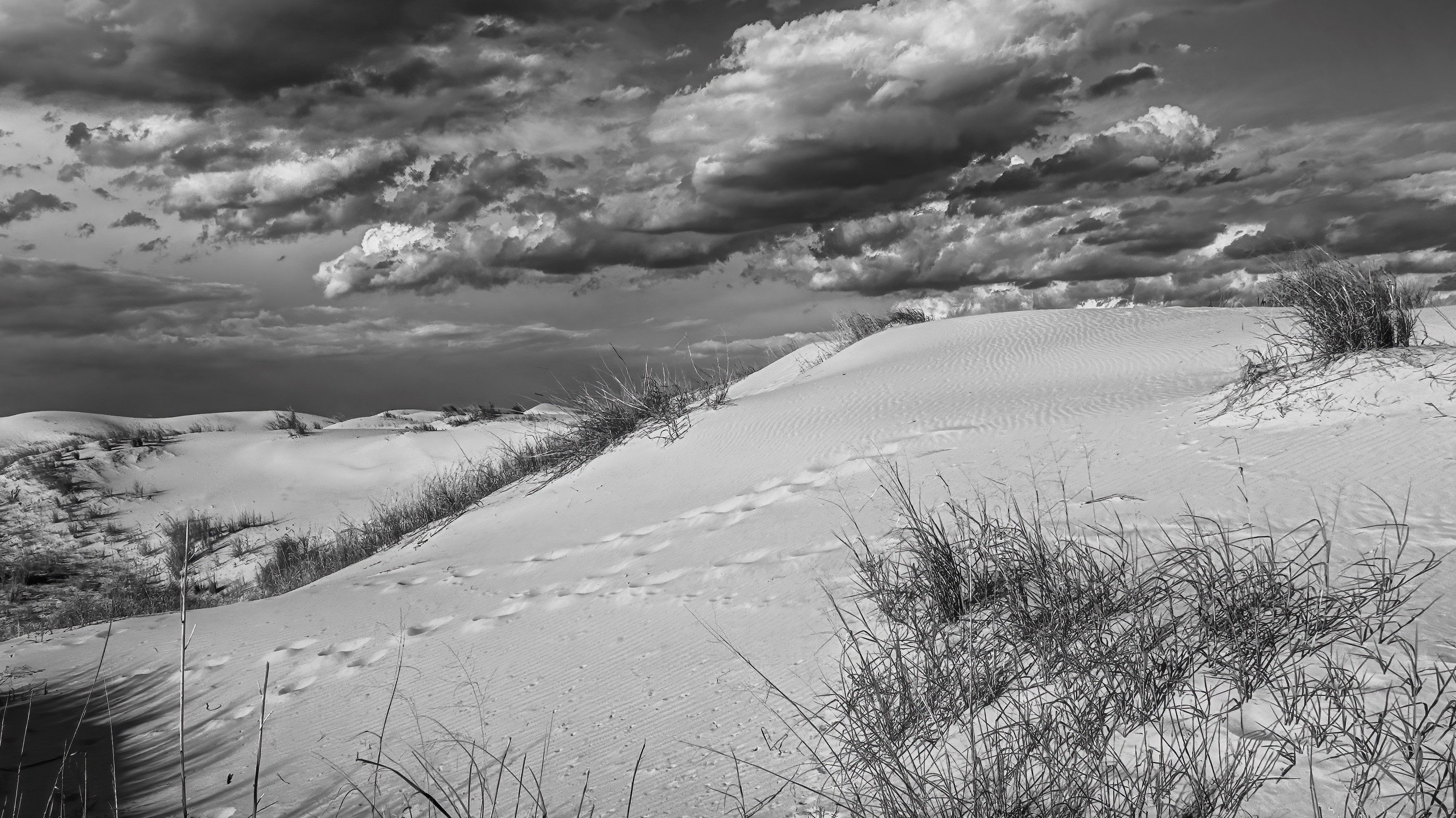 footprints in sand