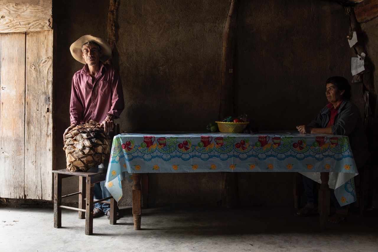 First Place: Christian De Massis – “Family, Tradition, and Mexcal”