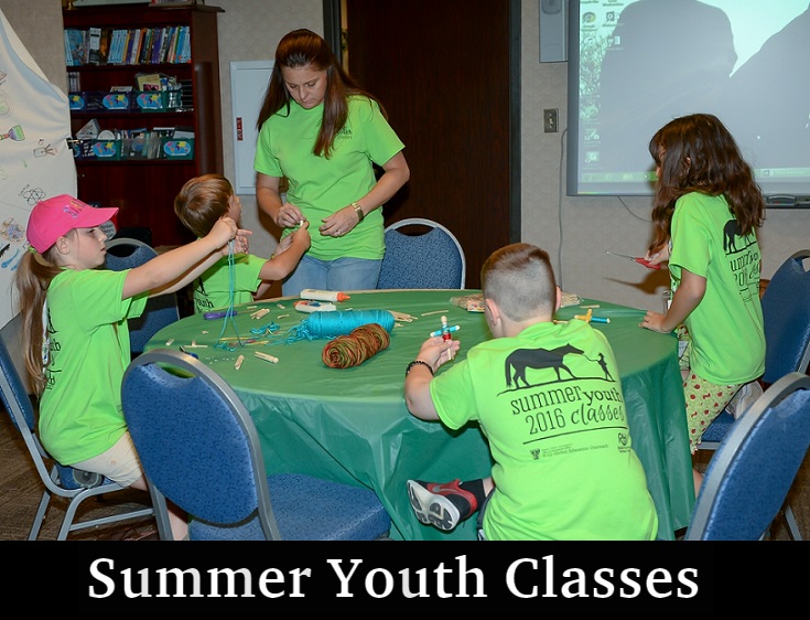 Summer Youth Classes