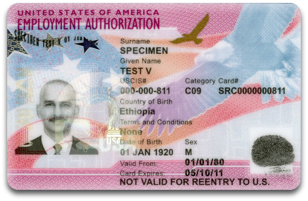 EAD Card Example
