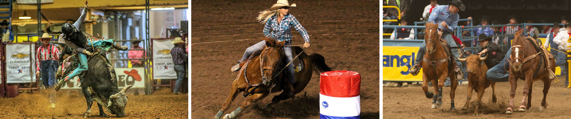 Rodeo Banner