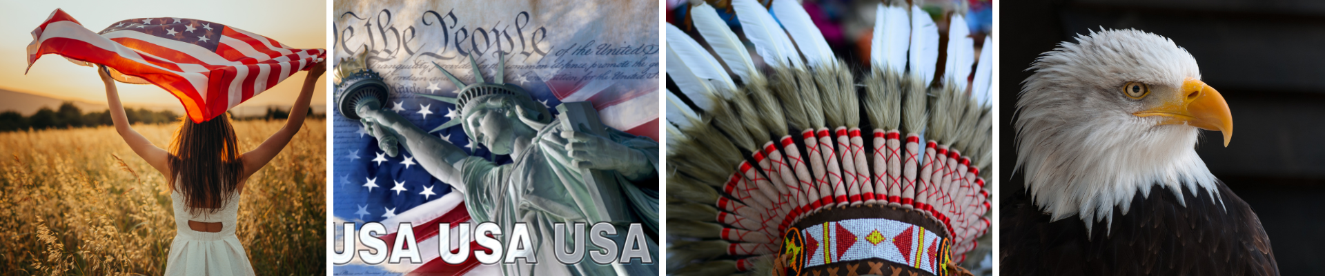 American images banner