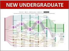Sankey Chart New Freshmen